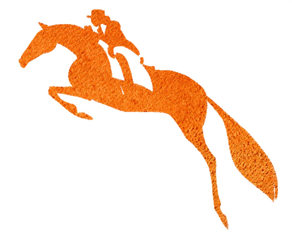 illustration marie laure manceaux cheval 2.jpg - Marie-Laure MANCEAUX | Virginie